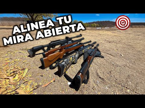 Como ALINEAR tu RIFLE mira ABIERTA || Guía para PRINCIPIANTES