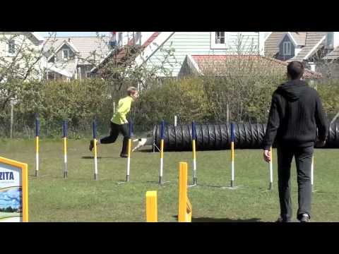 2012-04-22 's-Gravenzande, Anouk Herijgers - Ike, Vast Parcours B1-Medium