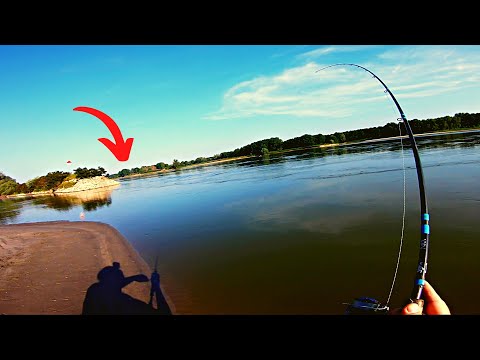 Some TOPWATER crazy strikes while searching for the summer ASP ...