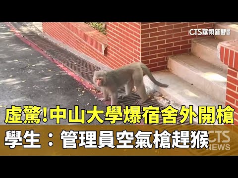 虛驚！中山大學爆宿舍外開槍　學生：管理員空氣槍趕猴