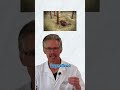 KETOCONAZOLE SHAMPOO DOES IT REALLY HELP WITH HAIR GROWTH 2024