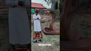 Download lagu Ar Rahman Al Quran #views #viralreels #makkah #recitation #1millionviews #shorts mp3