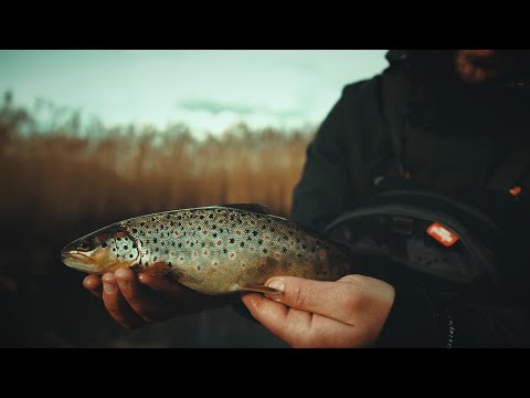 BB Custom Rods on Tour #4 - XIV Pstrąg Supraśli