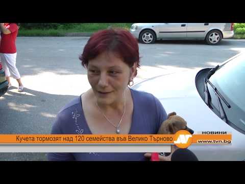 Кучета тормозят над 120 семейства във Велико Търново