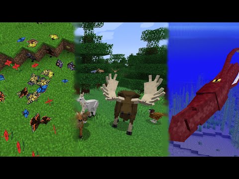 Minecraft. Better Animals Plus Showcase