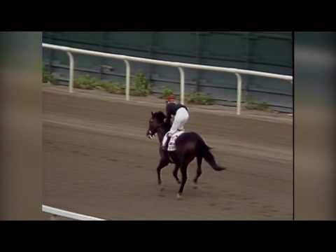Andy and the Mig - 1988 Belmont Stakes