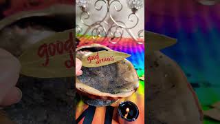 BURN A BAY LEAF AT NIGHT TO CLEANSE THE ENERGIES #shorts #bayleaf #abalone