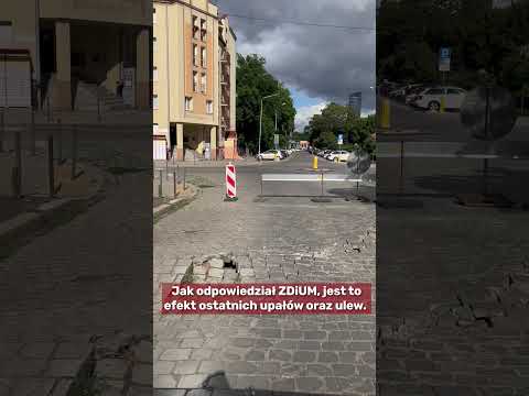 Co wyrasta spod kostki na ulicy Przestrzennej we Wrocławiu?