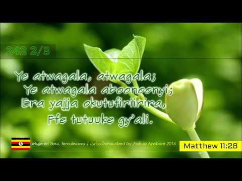 HYMN 242 Mujje eri Yesu temurwawo | Luganda Church Of Uganda Gospel Music Lyrics