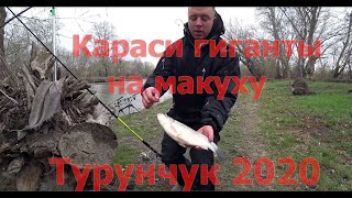 Реки одесской запрет ловли