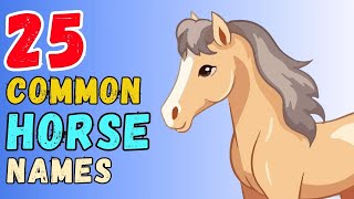 Common horse Names For Boy & Girl  25 Best Ideas  1