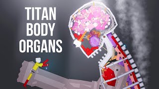 SAITAMA vs Titan Body Organs – People Playground 1.24