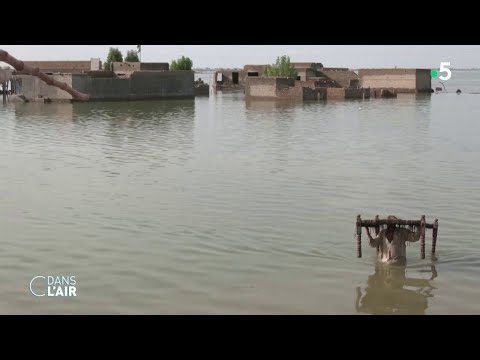 Un tiers du Pakistan totalement sous les eaux - Reportage #cdanslair 30.08.2022