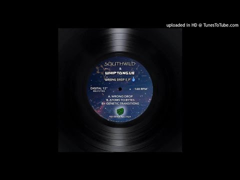 Southwild & Whiptongue - The Wrong Drop