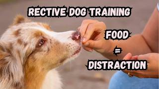 Distraction-Trap - They have been lying to you!