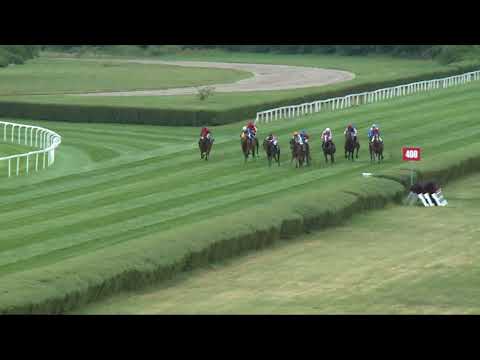 2017.09.03. 3. futam - TATTERSALLS - OVERDOSE DÍJ (HUN Gd-2) (NGL - IX.)