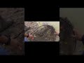 Video Thumbnail for losing  a fish and he came back right away!! #shorts #fishing #troutfishing