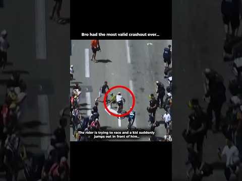 The Rider Had The Most Valid Crash Out Ever in Racing