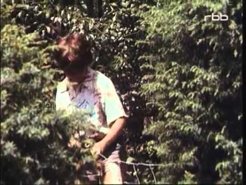 Klemens und Klementinchen 04 Die neue Hütte