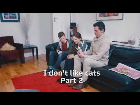 Go Getter 1 Unit 7.1 I don't like cats part 2