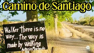 CAMINO de SANTIAGO - Day 21