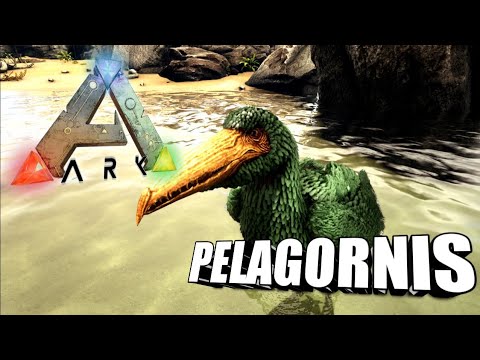 Taming A Pelagornis | Ark Survival Evolved | The Island
