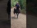 Cheval espagnol de randonn&eacute;e