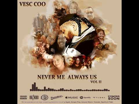 VESC COO  x  STONE II  -  GILLIGAN