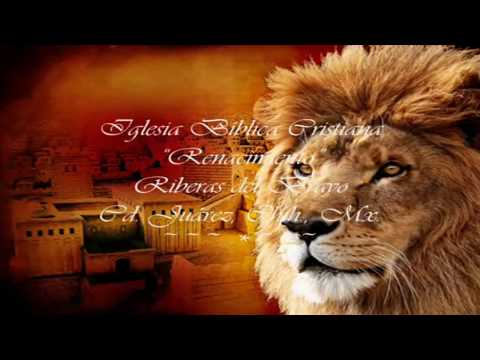 León de Judá video