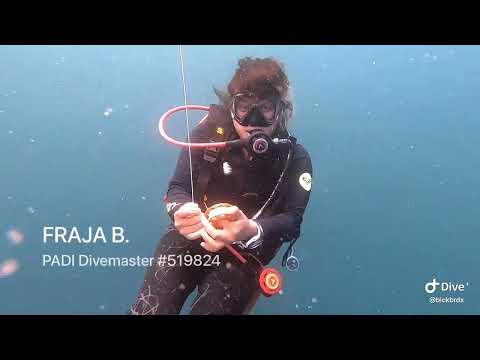 Akuana Falcon 1 - Regulator Review