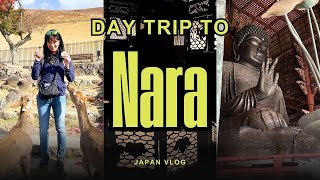 Nara, Japan in One Day | Temples, Deer & Self-Cooking Food