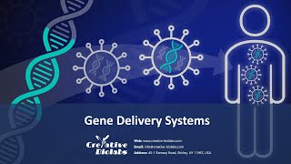 Gene Delivery Systems for Gene Therapy - Creative Biolabs