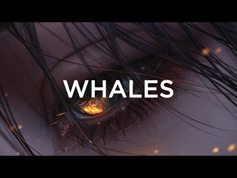 Whales & Shiah Maisel - Death Of Me