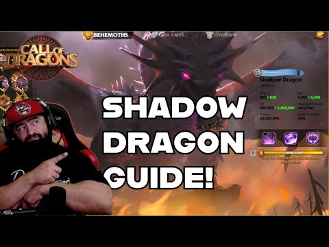 SHADOW DRAGON GUIDE! ALL SKILLS! (NORMAL) CALL OF DRAGONS!