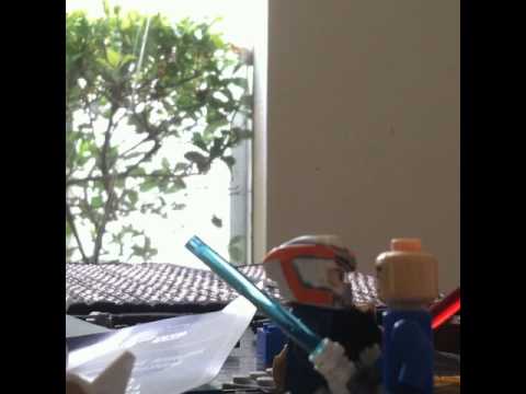 THE BATTLE OF BOTHAWUI