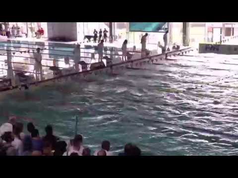 50 m Stile Libero - Ragazzi Maschi 2000 Serie 1 - Criteria Nazionali Giovanili 2015