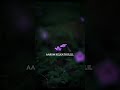 Naanam Konden Nenjil Cempoove Poove Whatapp Tamilstatus Naturalflowers Viral Shorts