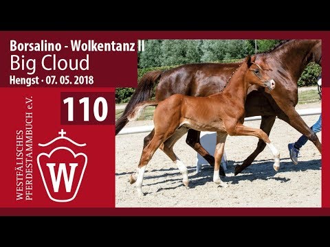 110 Big Cloud HF v. Borsalino - Wolkentanz II