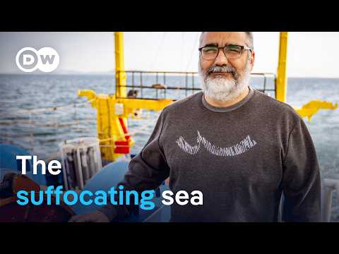 Turkey: Can The Marmara Sea Be Saved? | Dw Documentary