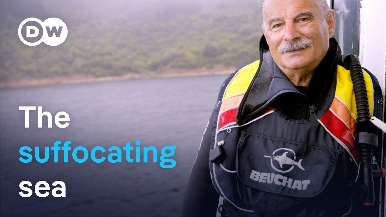 Turkey: Can the Marmara sea be saved? | DW Documentary