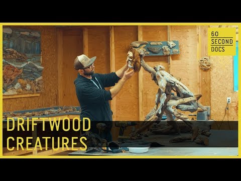 The Man Behind Nature’s Driftwood Creatures // 60 Second Docs
