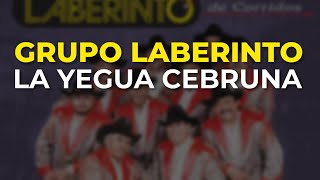 Grupo Laberinto - La Yegua Cebruna (Audio Oficial)