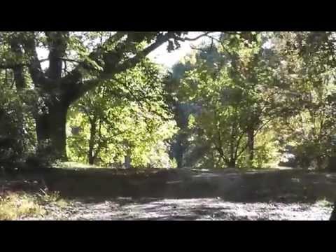 WALKING AROUND PLANTING FIELDS ARBORETUM