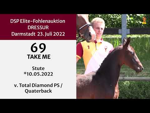 KN 69: Stutfohlen v. Total Diamond/Quaterback