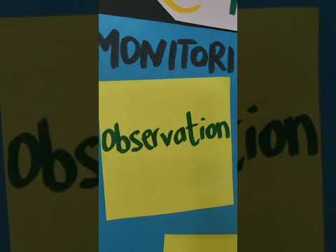 PYP Bites Assessment in the PYP