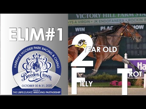 2020 Breeders Crown Elim#1 - Mazzarati - 2FT