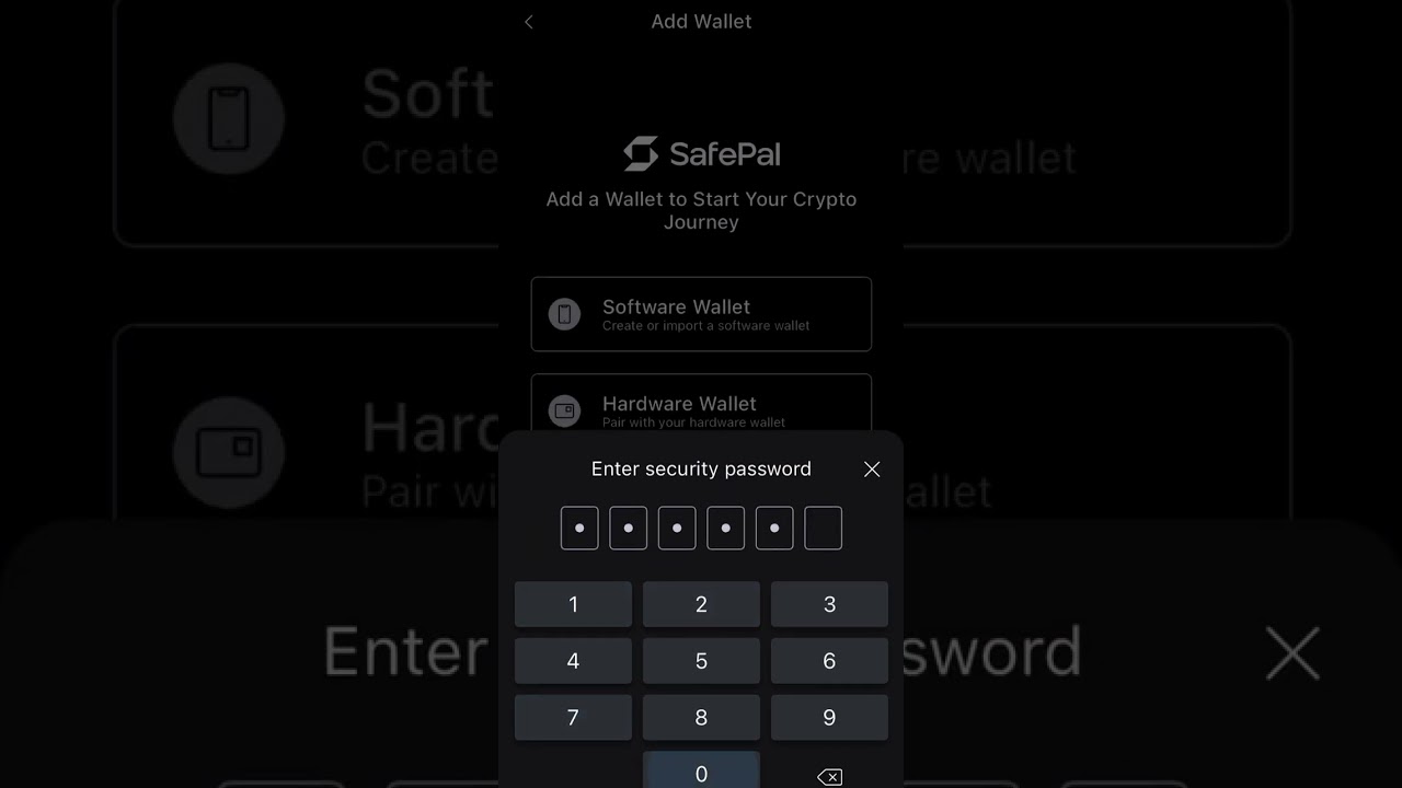 Hacking Crypto wallet 12 seed phrase SafePal