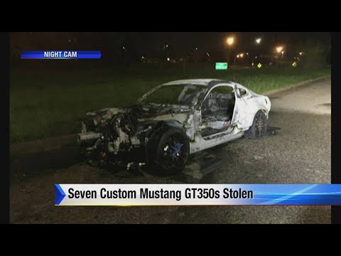 Seven custom Mustang GT350s stolen