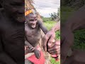 Hadzabe Tribe Tries Soda for the First Time! Their Reaction is Priceless!