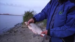 Ссылка